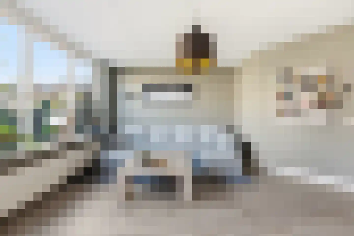 Liesgras 6 Nieuw-Lekkerland thumbnail 4