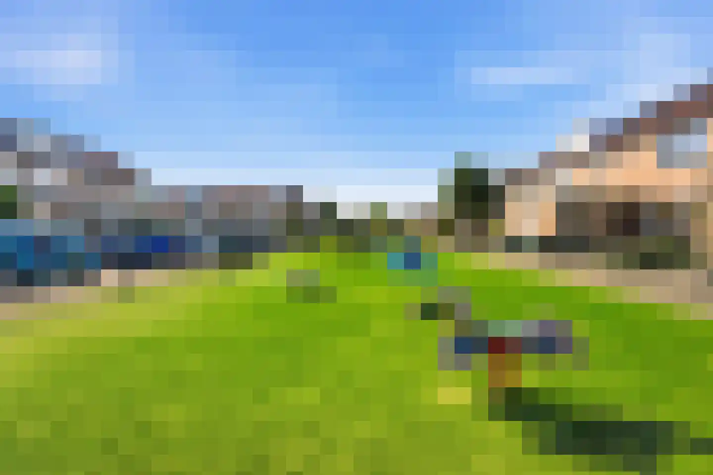 Liesgras 6 Nieuw-Lekkerland thumbnail 42