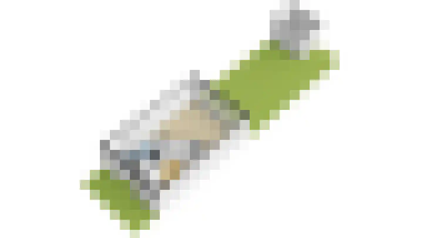 Liesgras 6 Nieuw-Lekkerland thumbnail 53