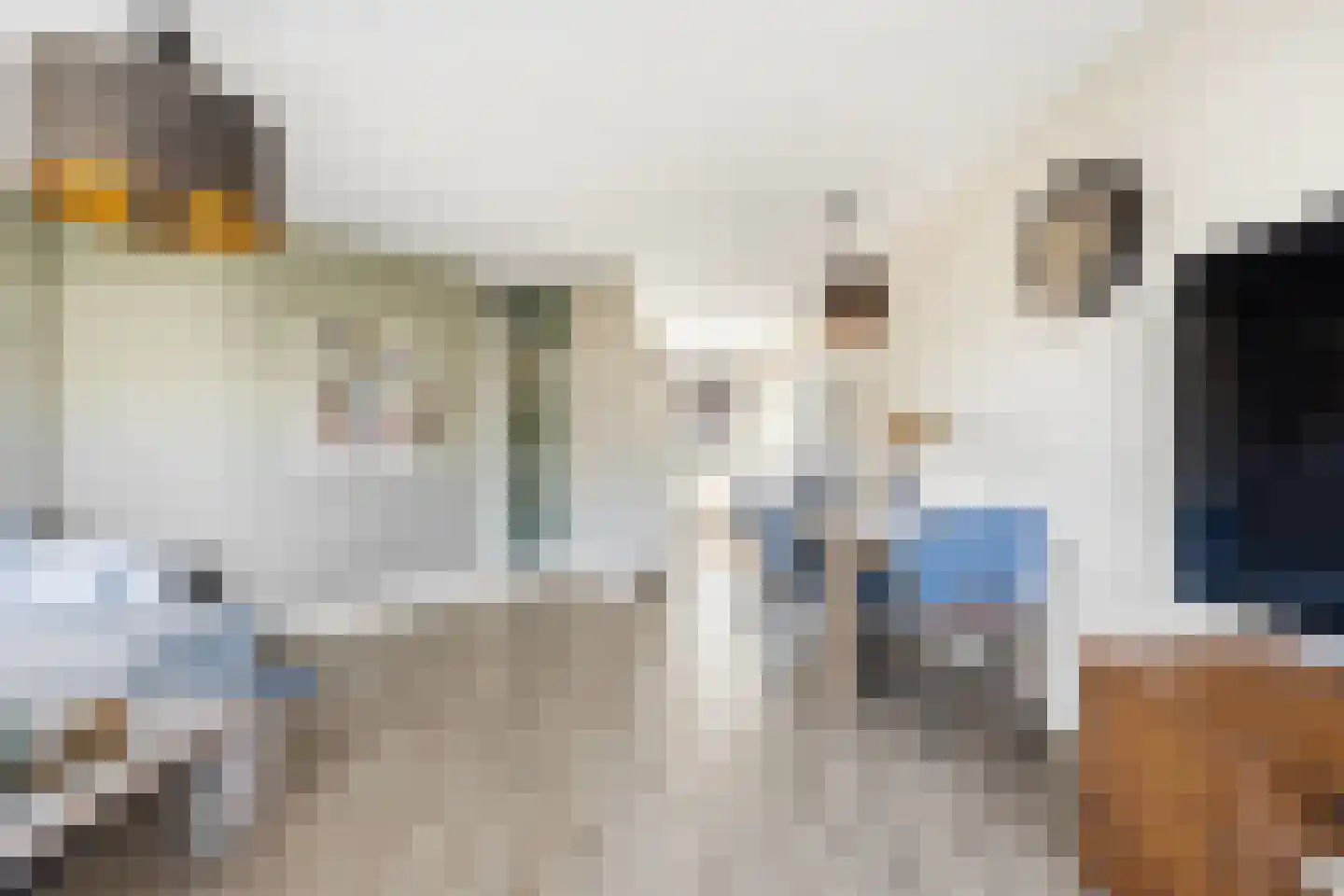 Liesgras 6 Nieuw-Lekkerland thumbnail 8