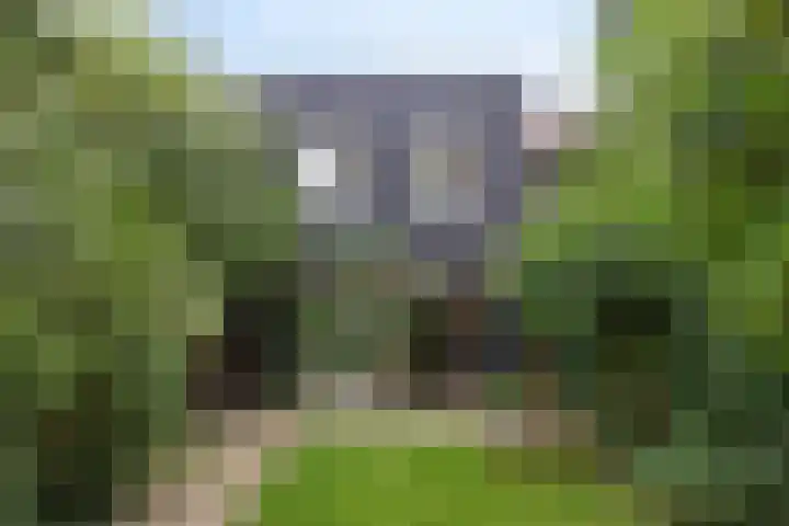 Liesgras 7 Spijkenisse thumbnail 10