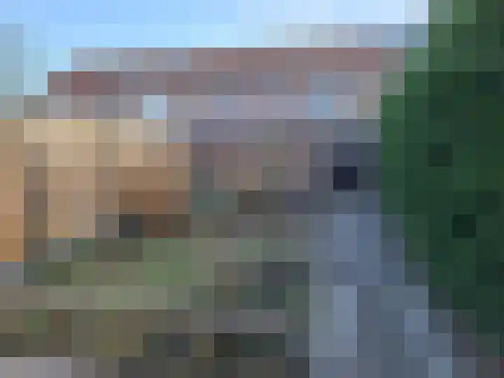 Liesgras 7 Spijkenisse thumbnail 13