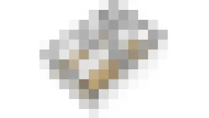 Liesgras 7 Spijkenisse thumbnail 17