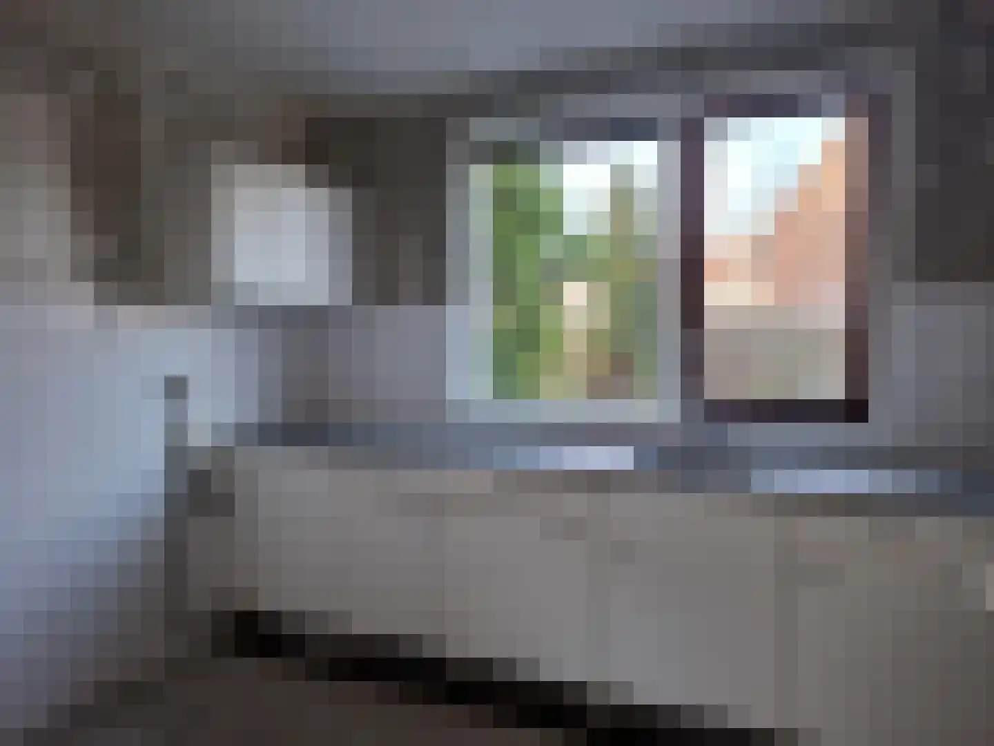 Liesgras 7 Spijkenisse thumbnail 5