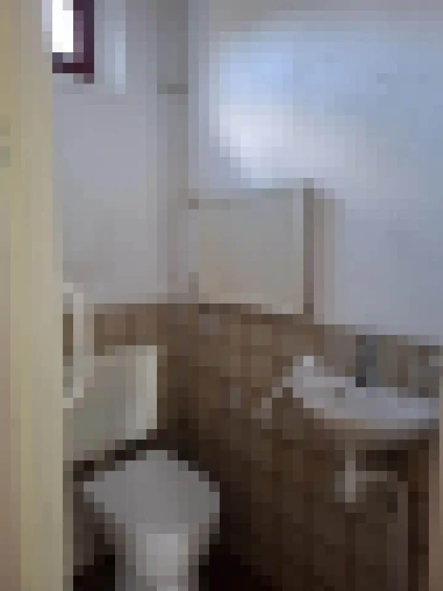 Liesgras 7 Spijkenisse thumbnail 6