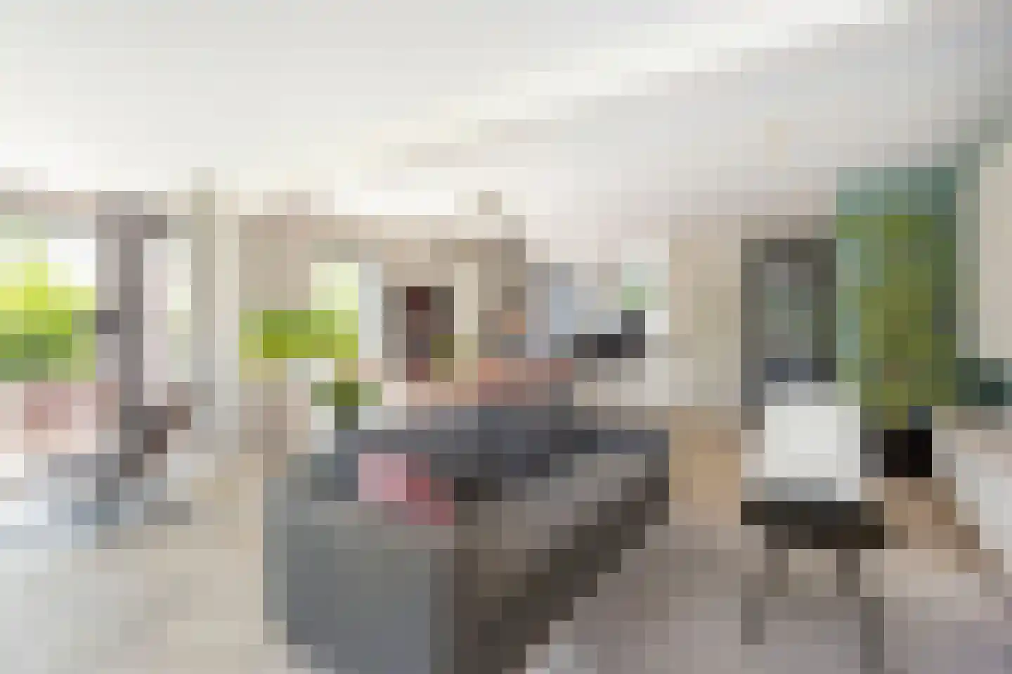 Liesgrassingel 11 Vleuten thumbnail 12