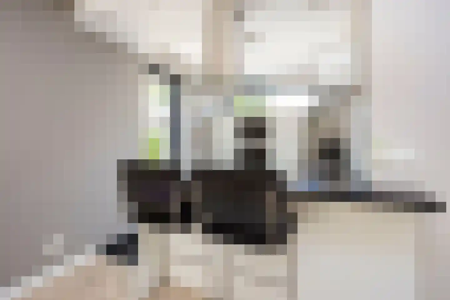Liesgrassingel 11 Vleuten thumbnail 14