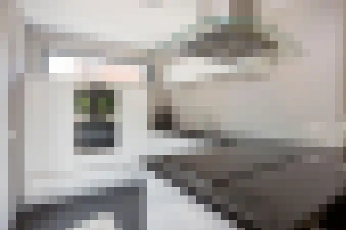 Liesgrassingel 11 Vleuten thumbnail 15