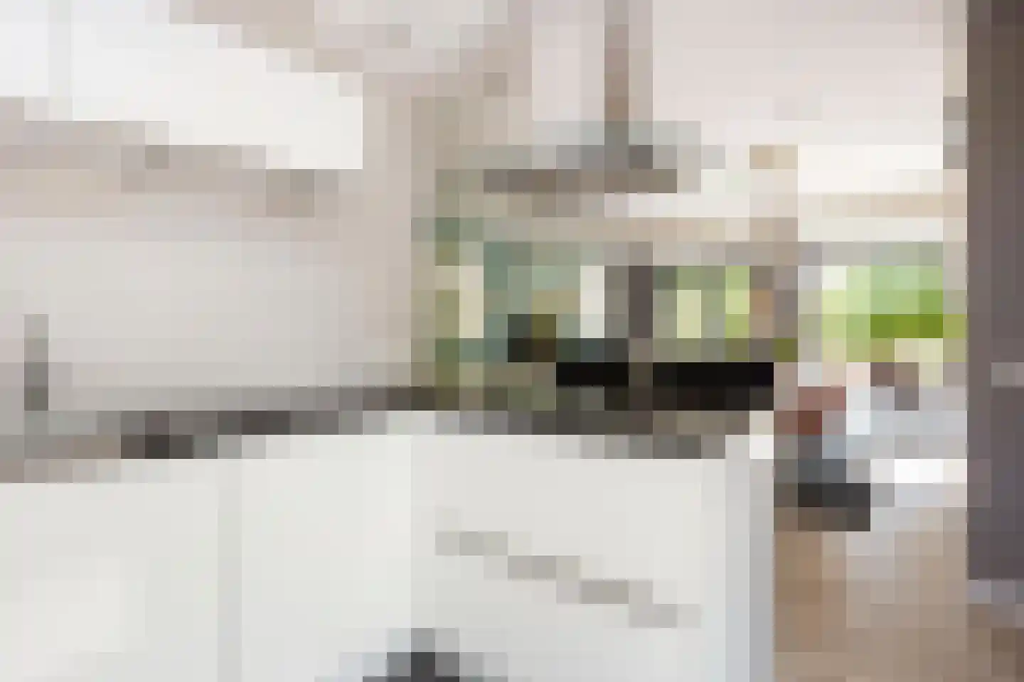 Liesgrassingel 11 Vleuten thumbnail 17