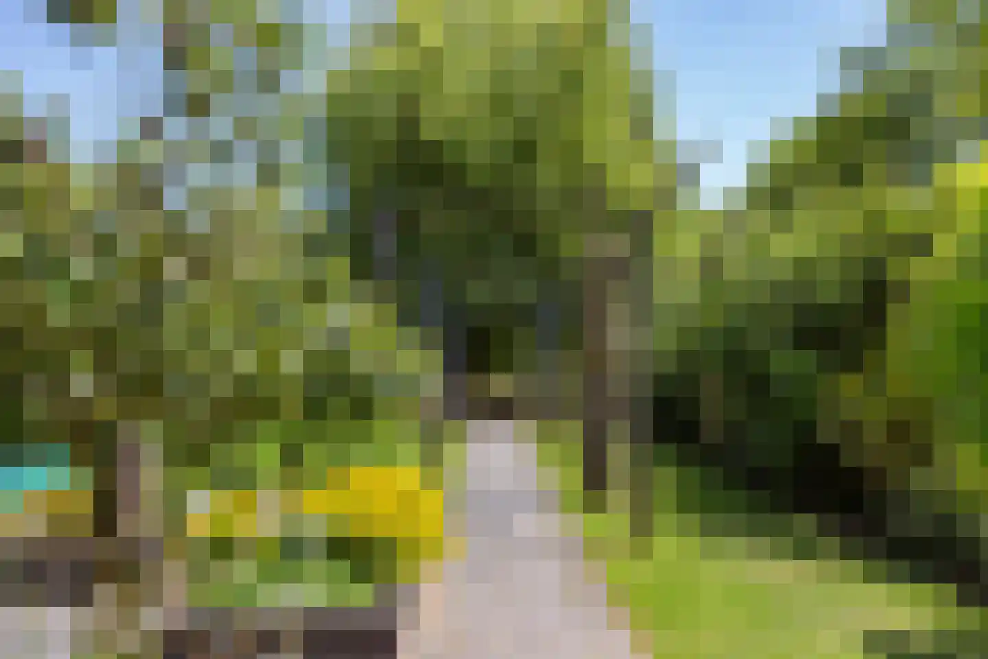 Liesgrassingel 11 Vleuten thumbnail 20
