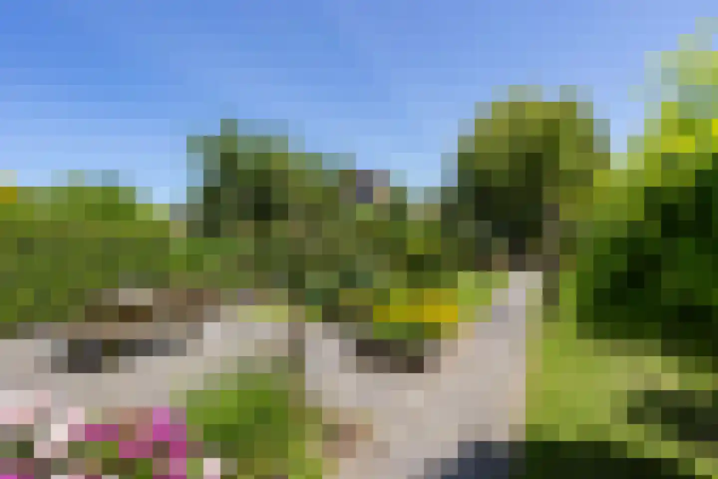 Liesgrassingel 11 Vleuten thumbnail 21
