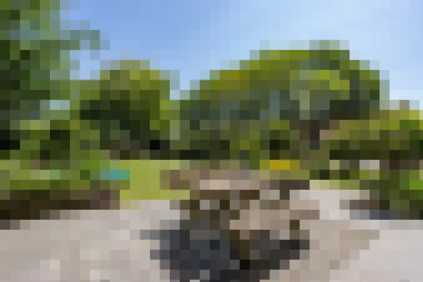 Liesgrassingel 11 Vleuten thumbnail 23