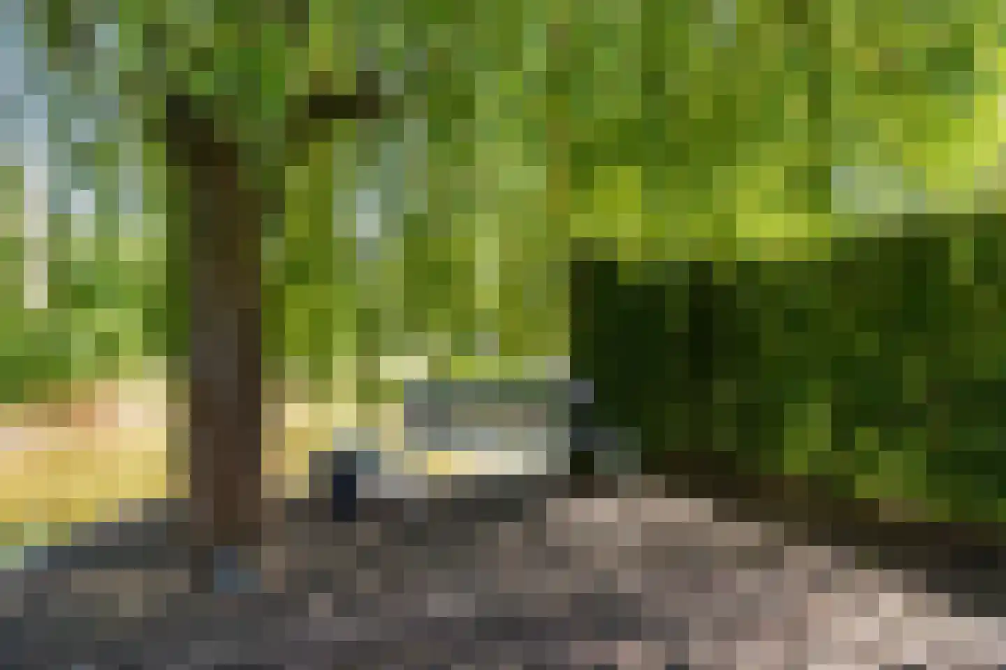 Liesgrassingel 11 Vleuten thumbnail 27