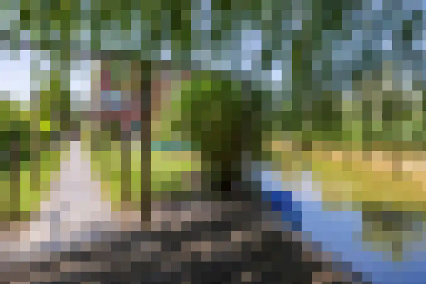 Liesgrassingel 11 Vleuten thumbnail 28