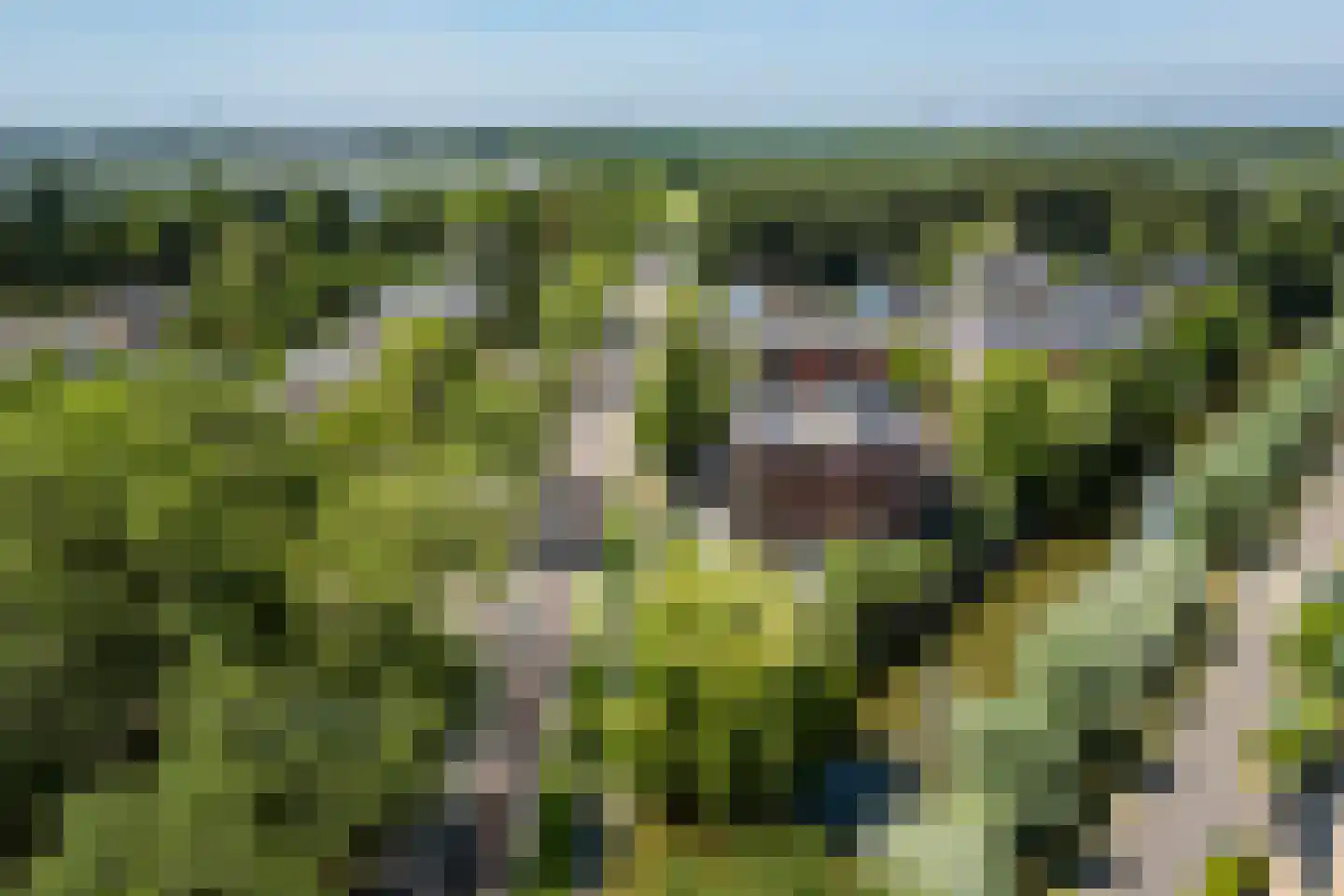 Liesgrassingel 11 Vleuten thumbnail 55