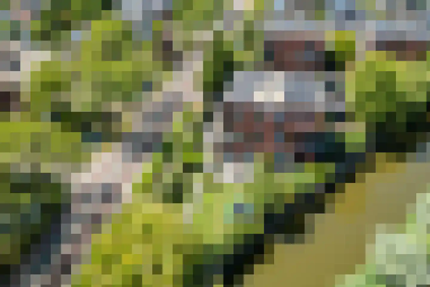 Liesgrassingel 11 Vleuten thumbnail 56