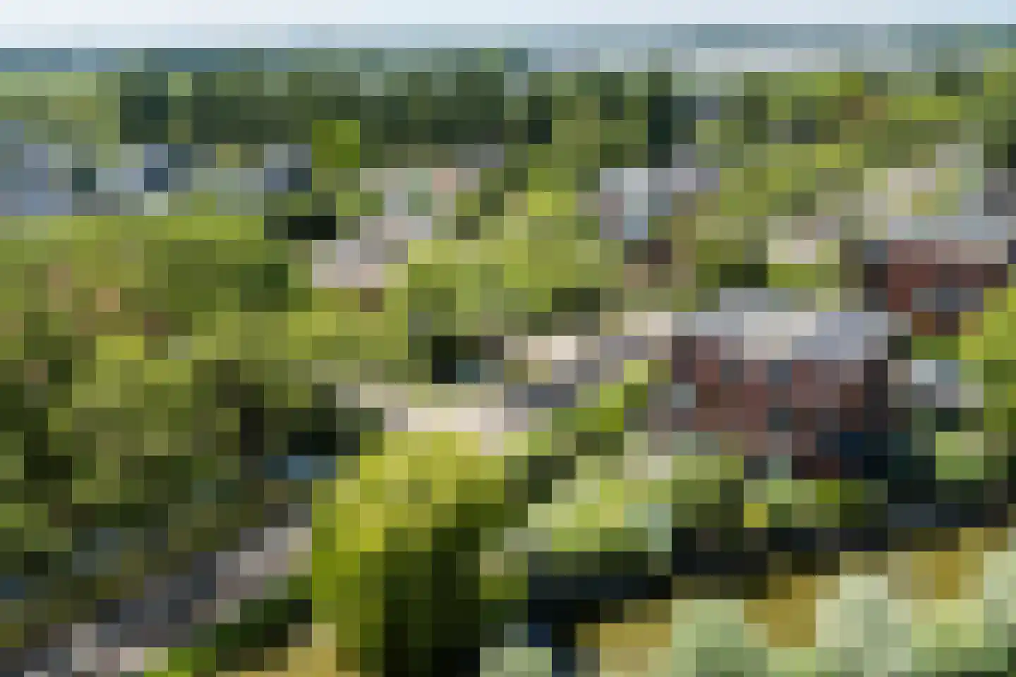 Liesgrassingel 11 Vleuten thumbnail 59