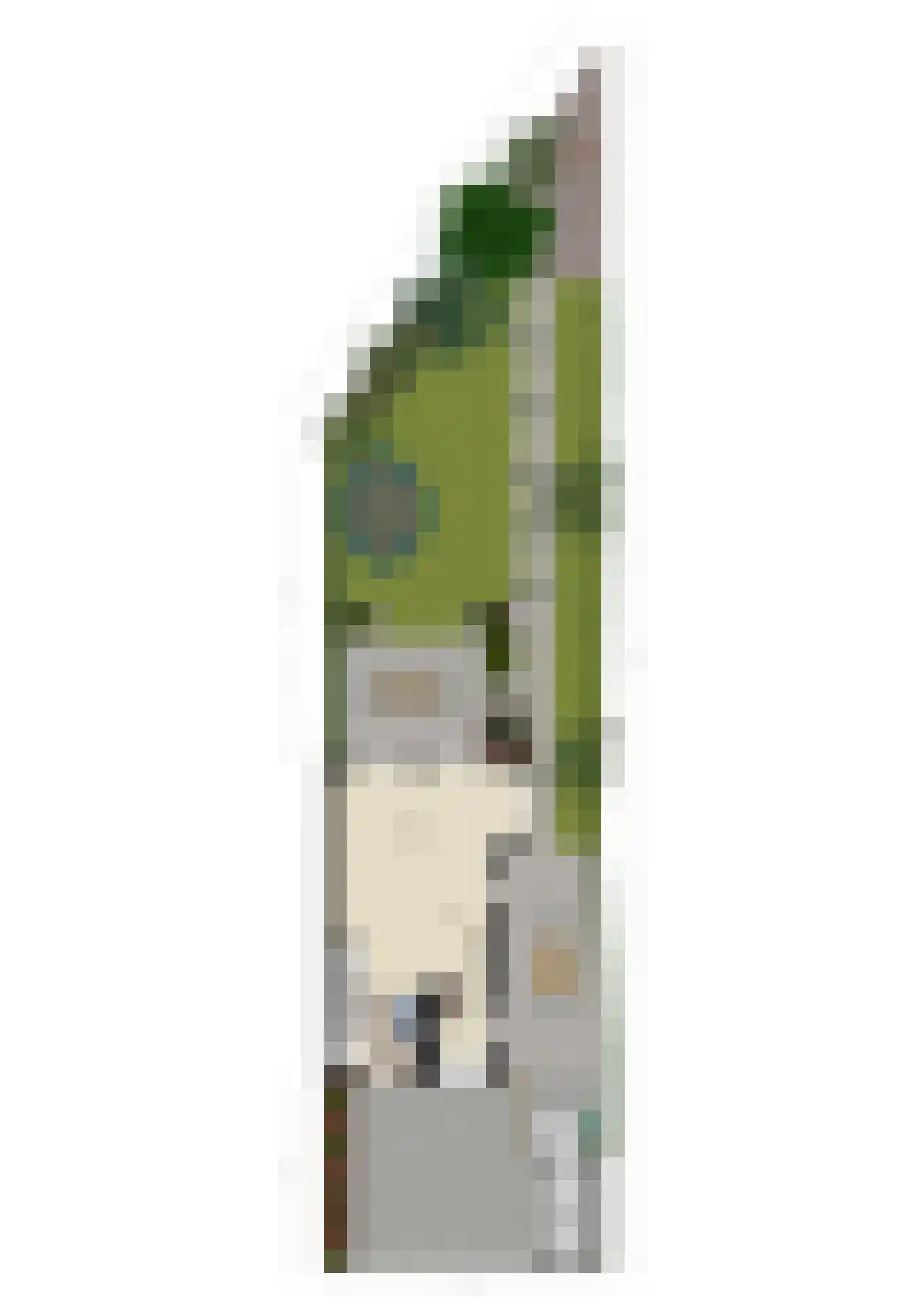Liesgrassingel 11 Vleuten thumbnail 64