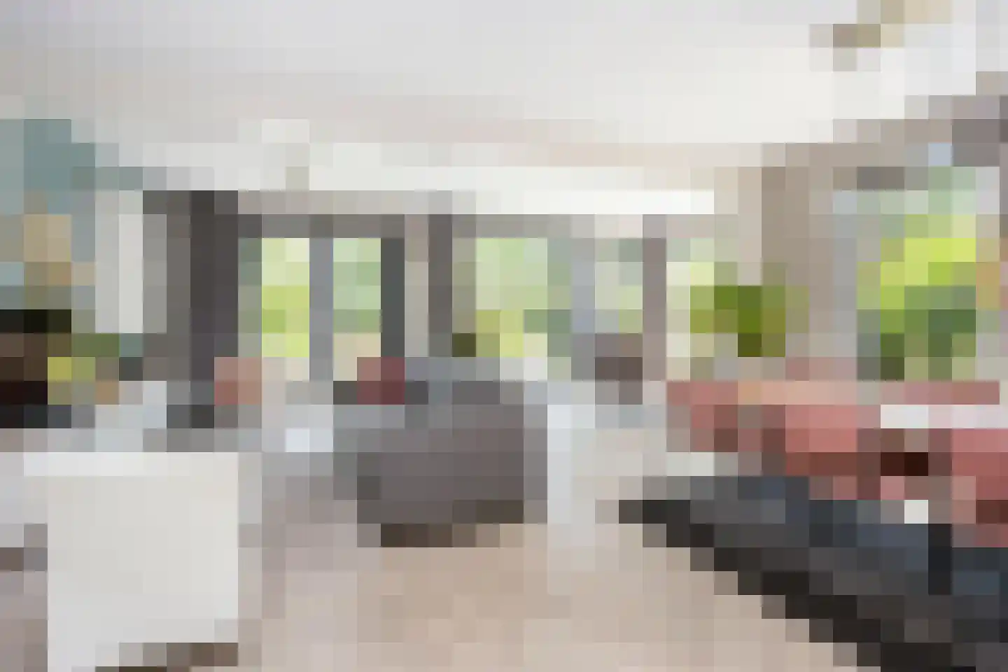 Liesgrassingel 11 Vleuten thumbnail 7
