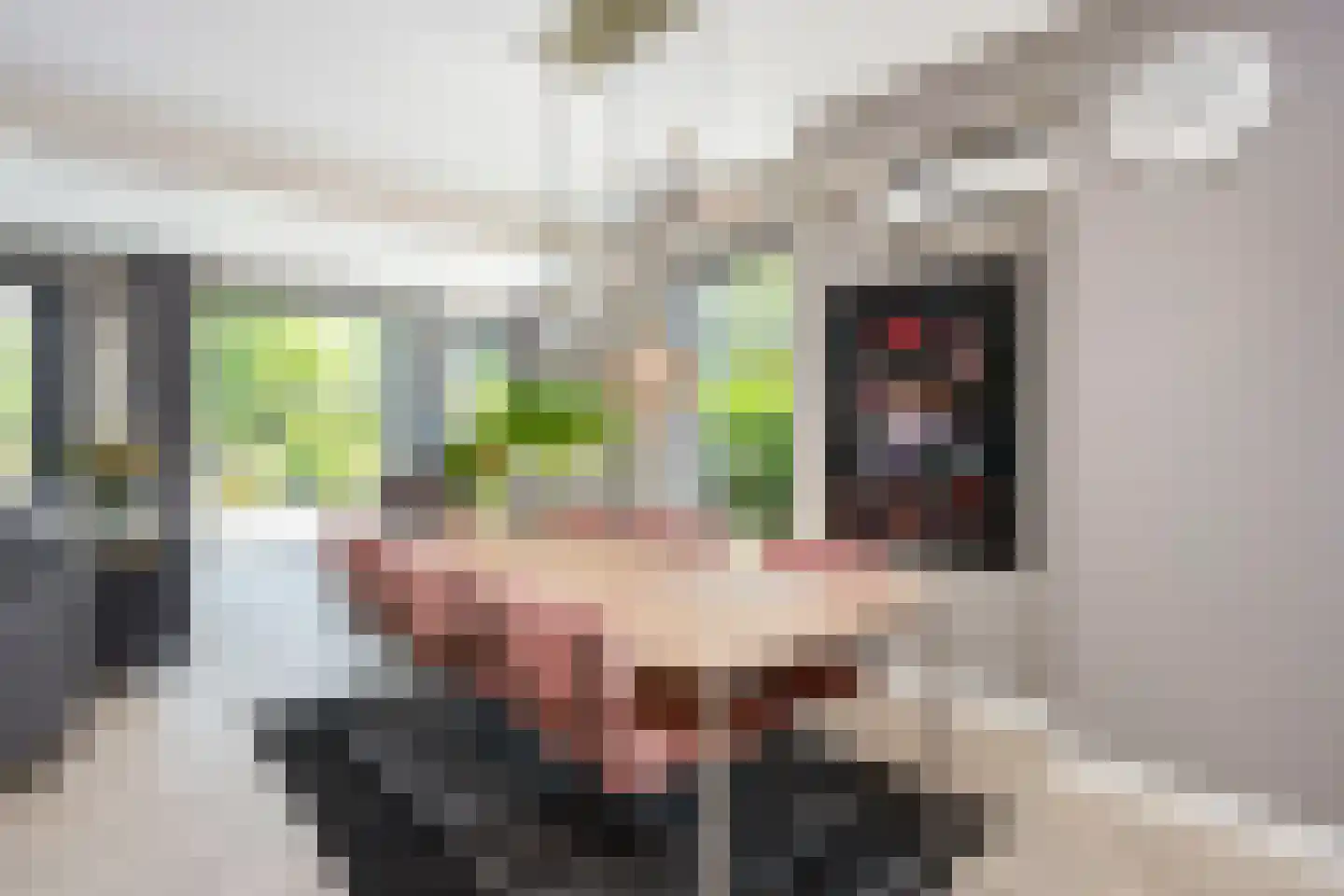 Liesgrassingel 11 Vleuten thumbnail 8