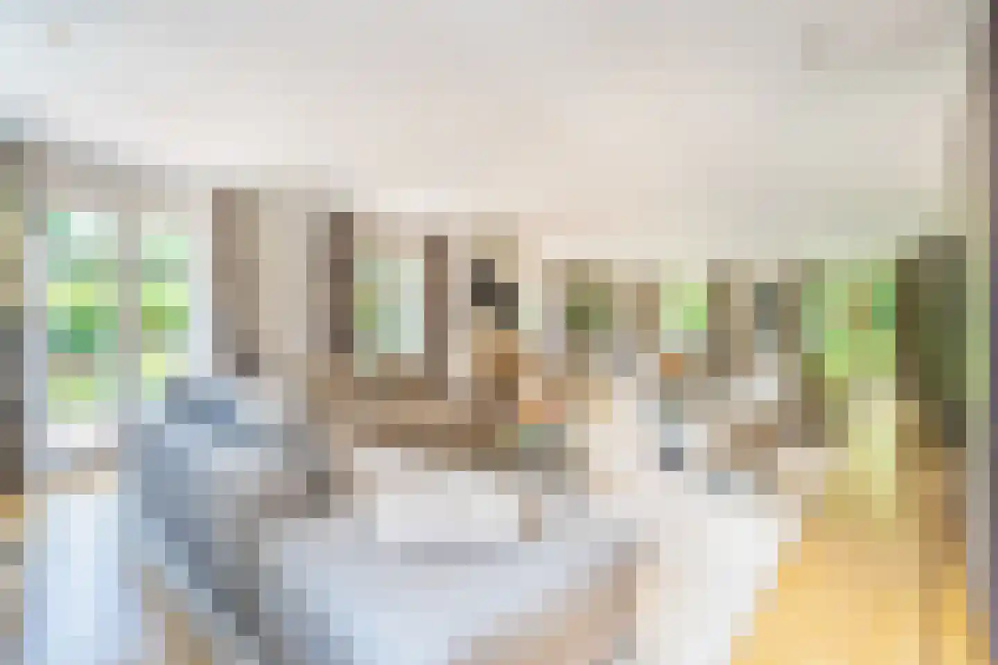 Liesgrassingel 18 Vleuten thumbnail 13