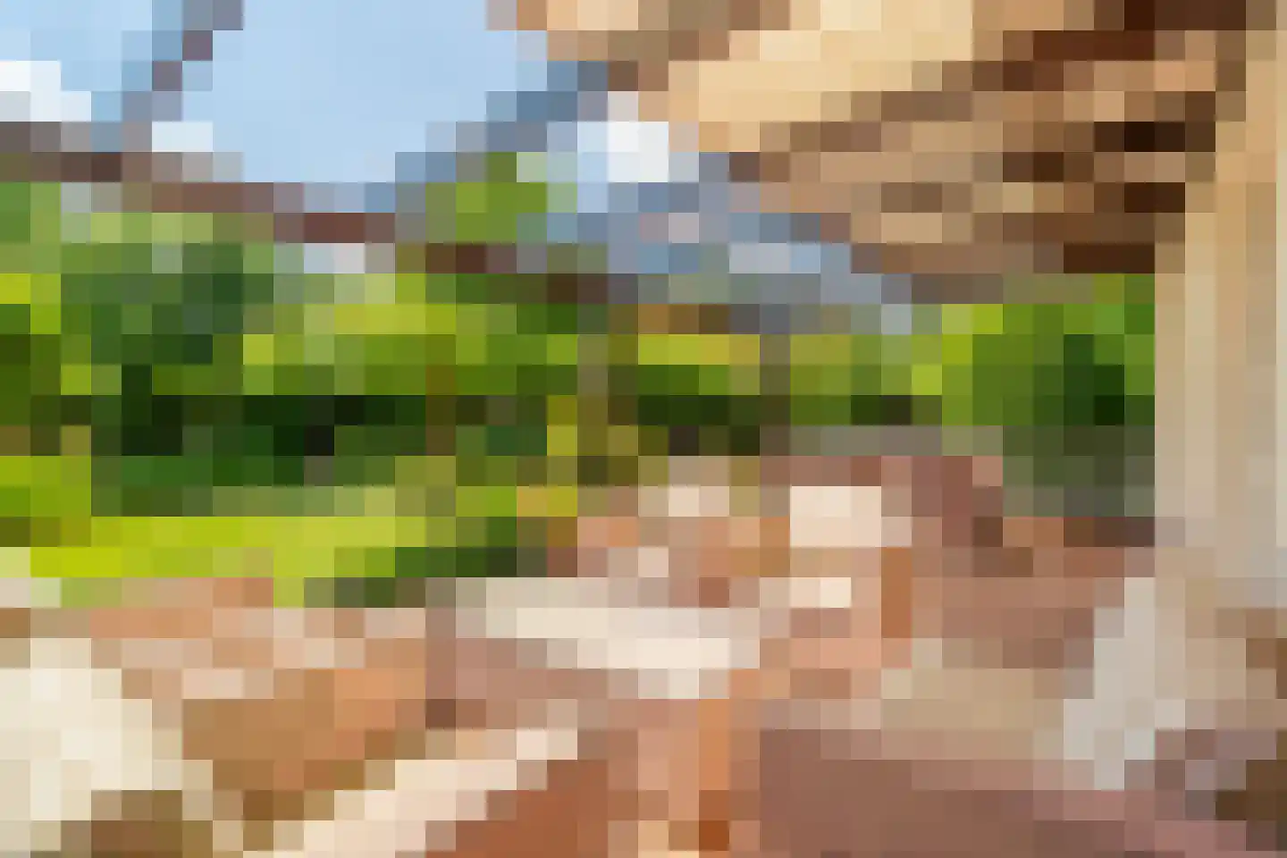 Liesgrassingel 18 Vleuten thumbnail 21