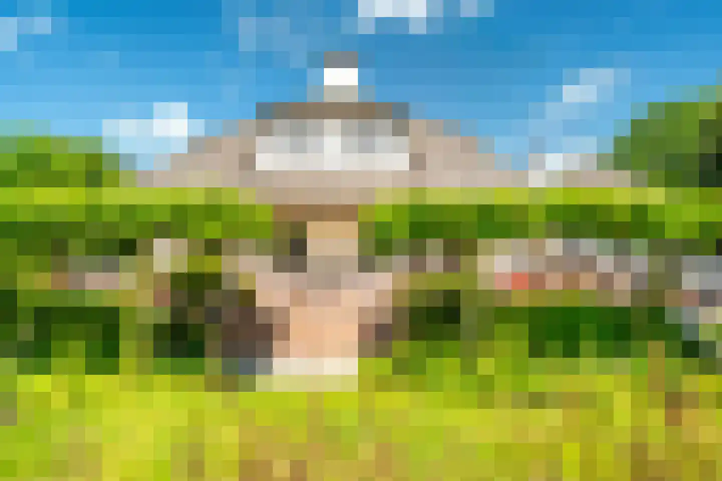 Liesgrassingel 18 Vleuten thumbnail 22