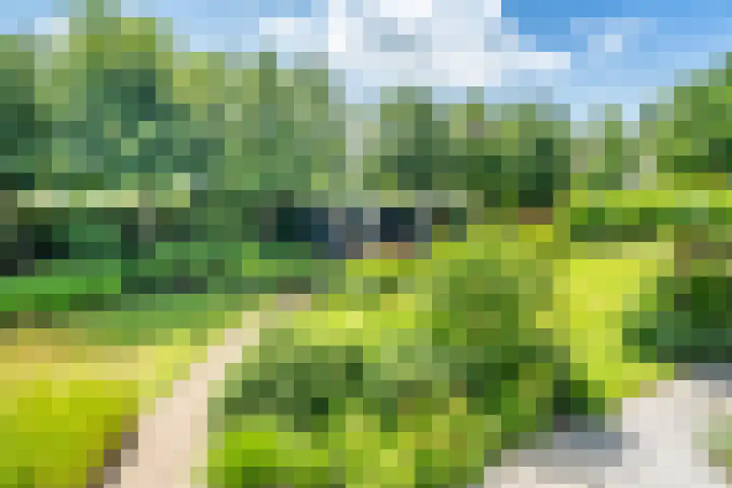 Liesgrassingel 18 Vleuten thumbnail 26