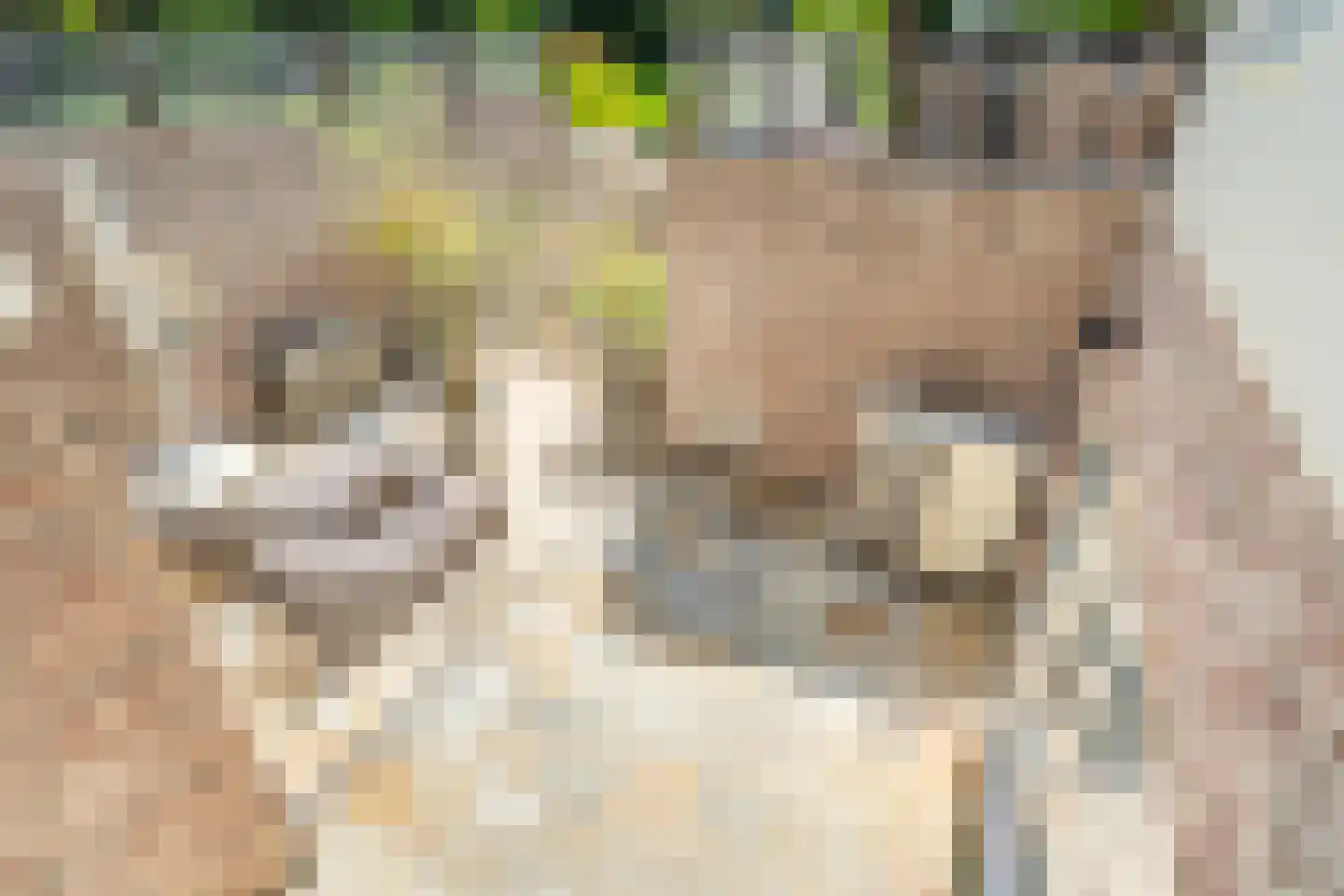 Liesgrassingel 18 Vleuten thumbnail 45