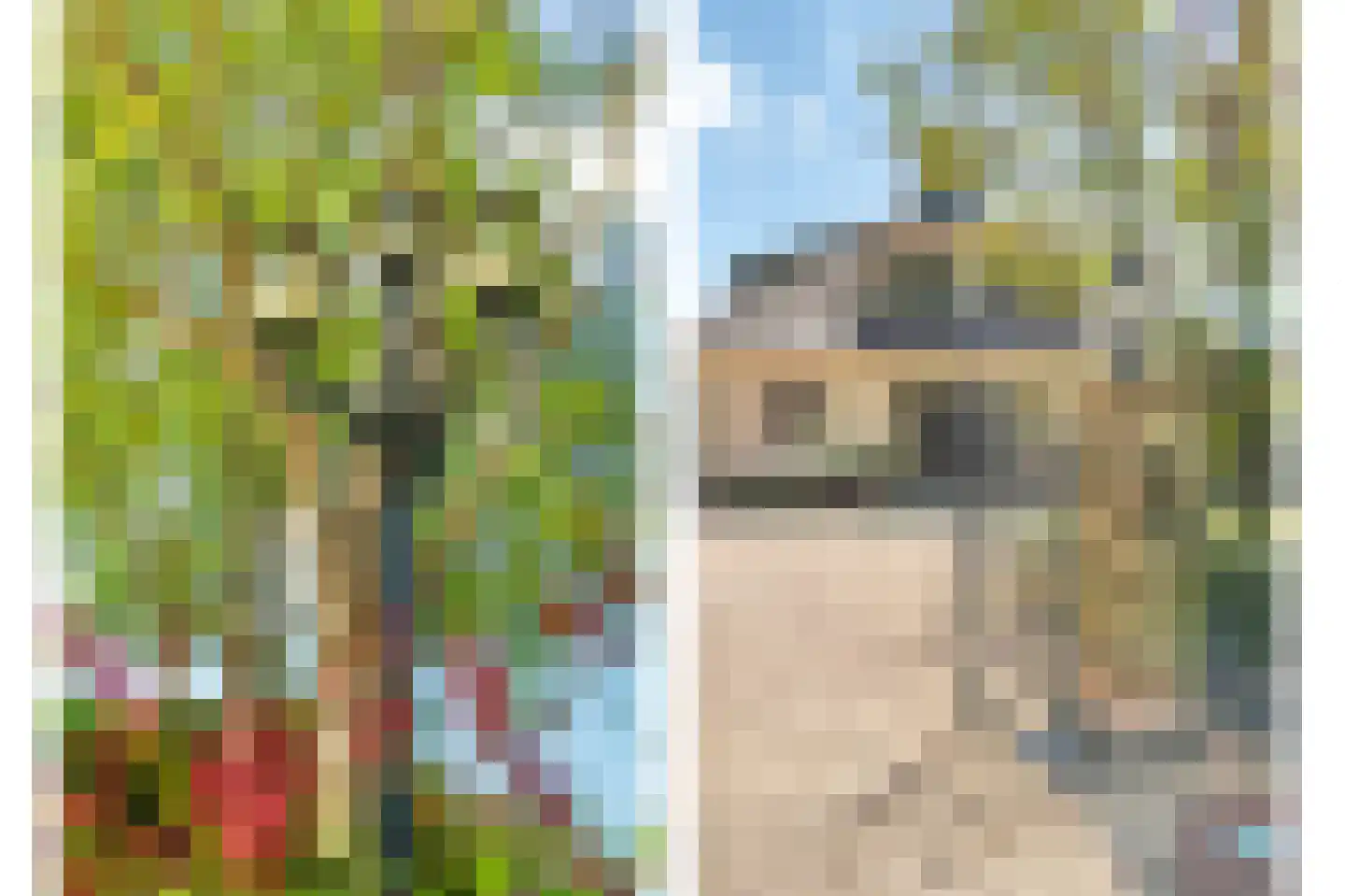 Liesgrassingel 18 Vleuten thumbnail 69