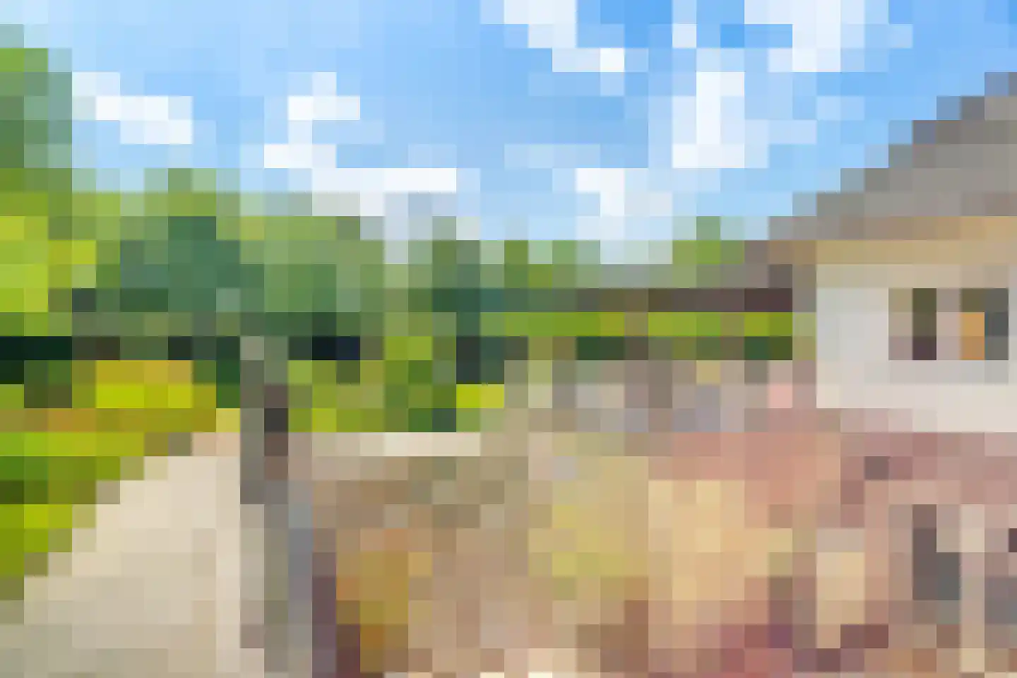 Liesgrassingel 18 Vleuten thumbnail 73