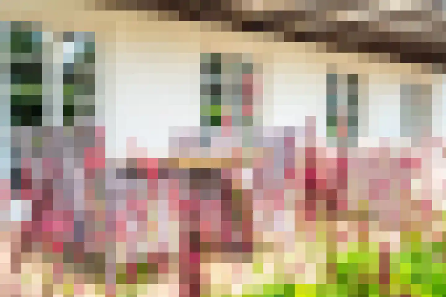 Liesgrassingel 18 Vleuten thumbnail 77