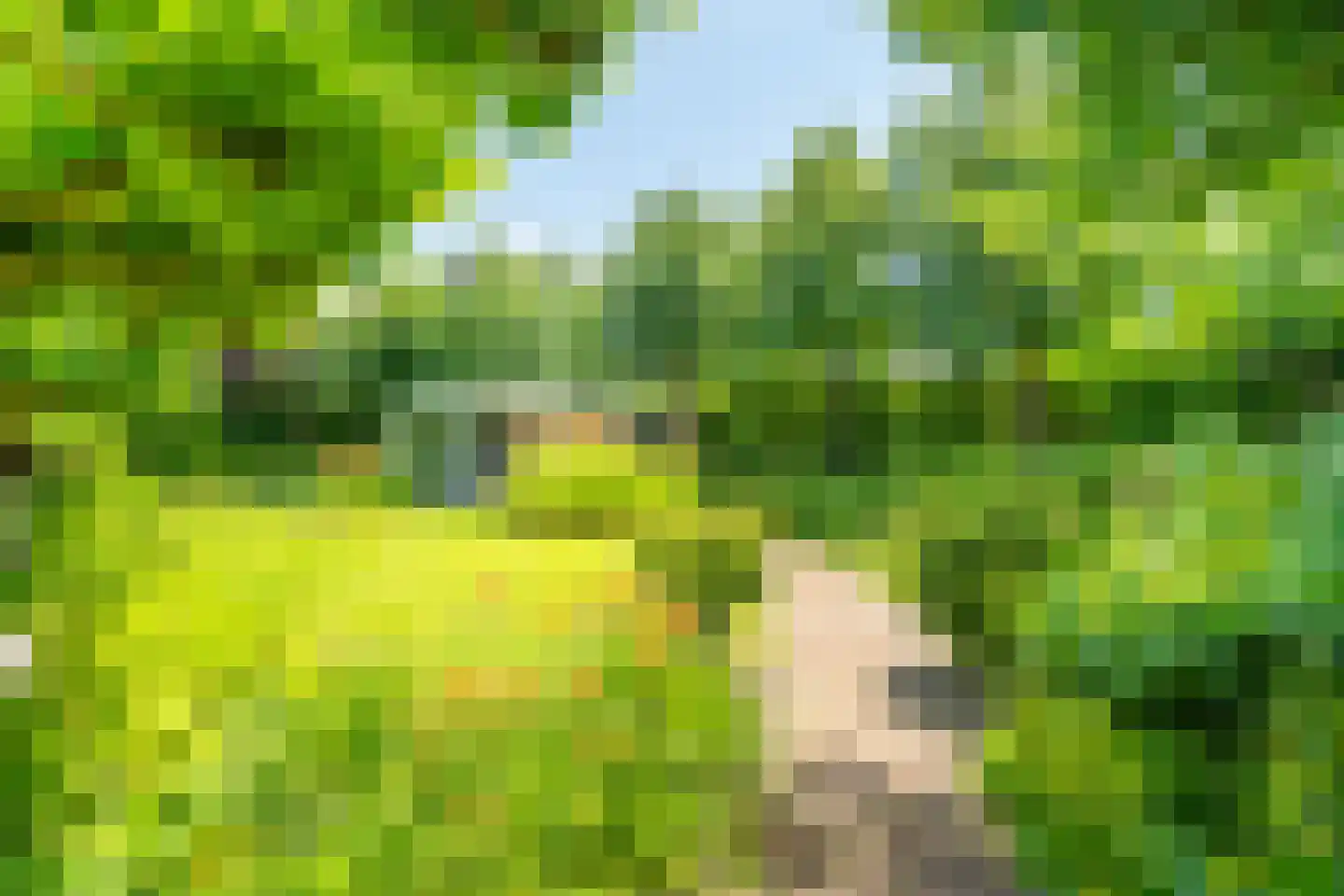 Liesgrassingel 18 Vleuten thumbnail 78