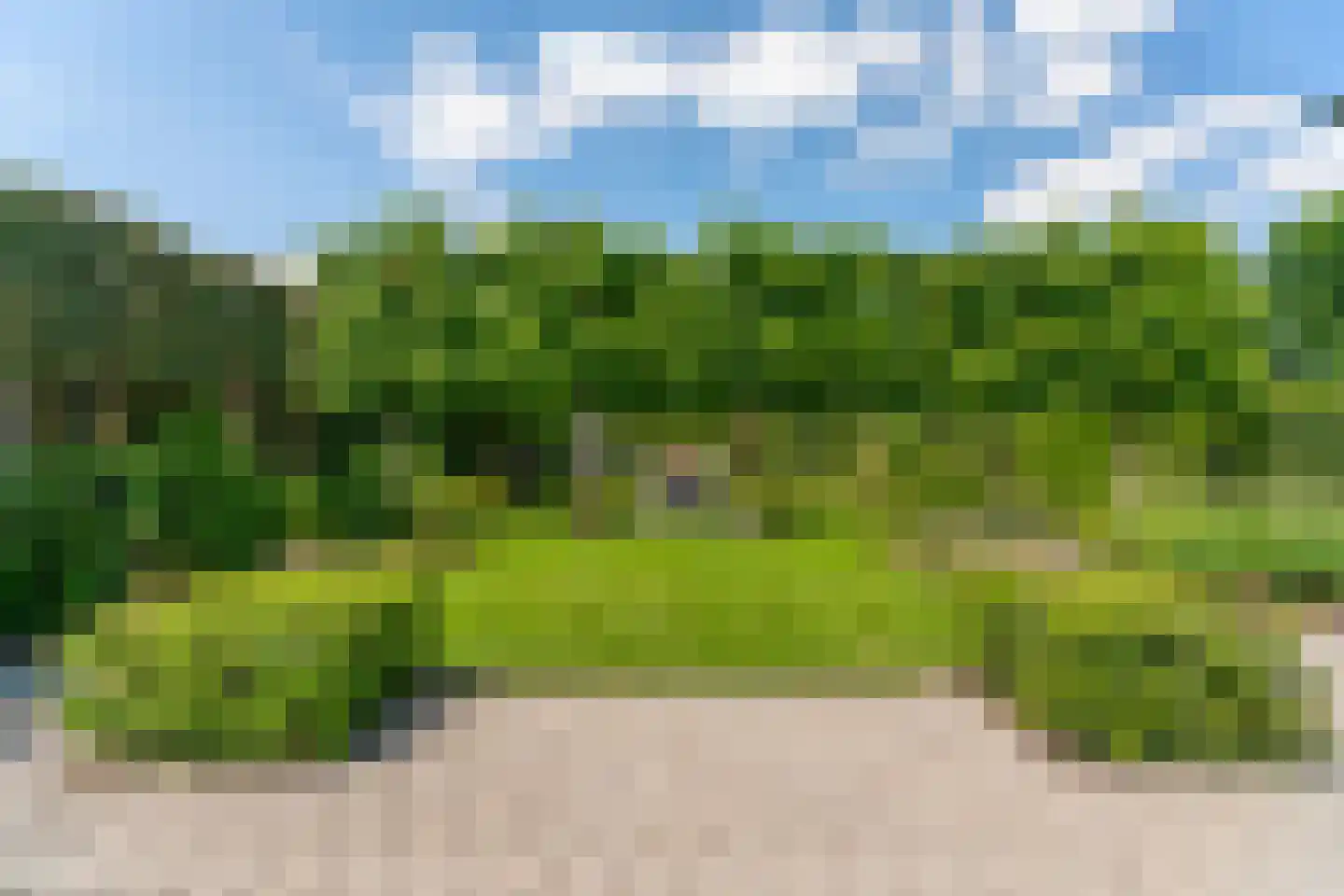 Lieshoutseweg 23 Sint-Oedenrode thumbnail 46