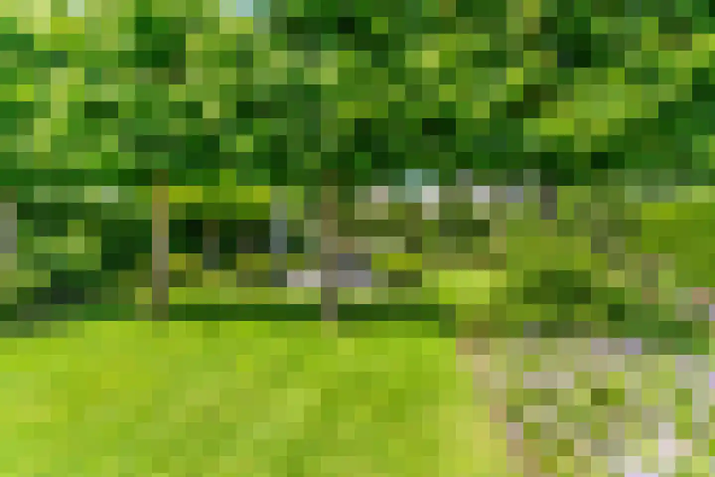 Lieshoutseweg 23 Sint-Oedenrode thumbnail 48