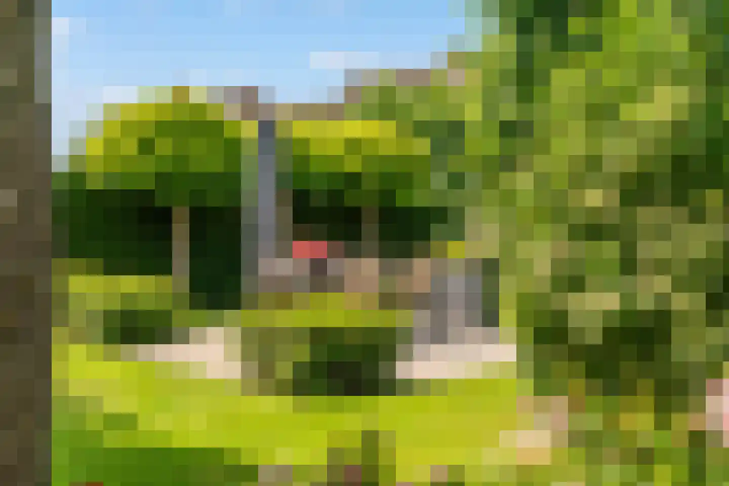 Lieshoutseweg 23 Sint-Oedenrode thumbnail 49