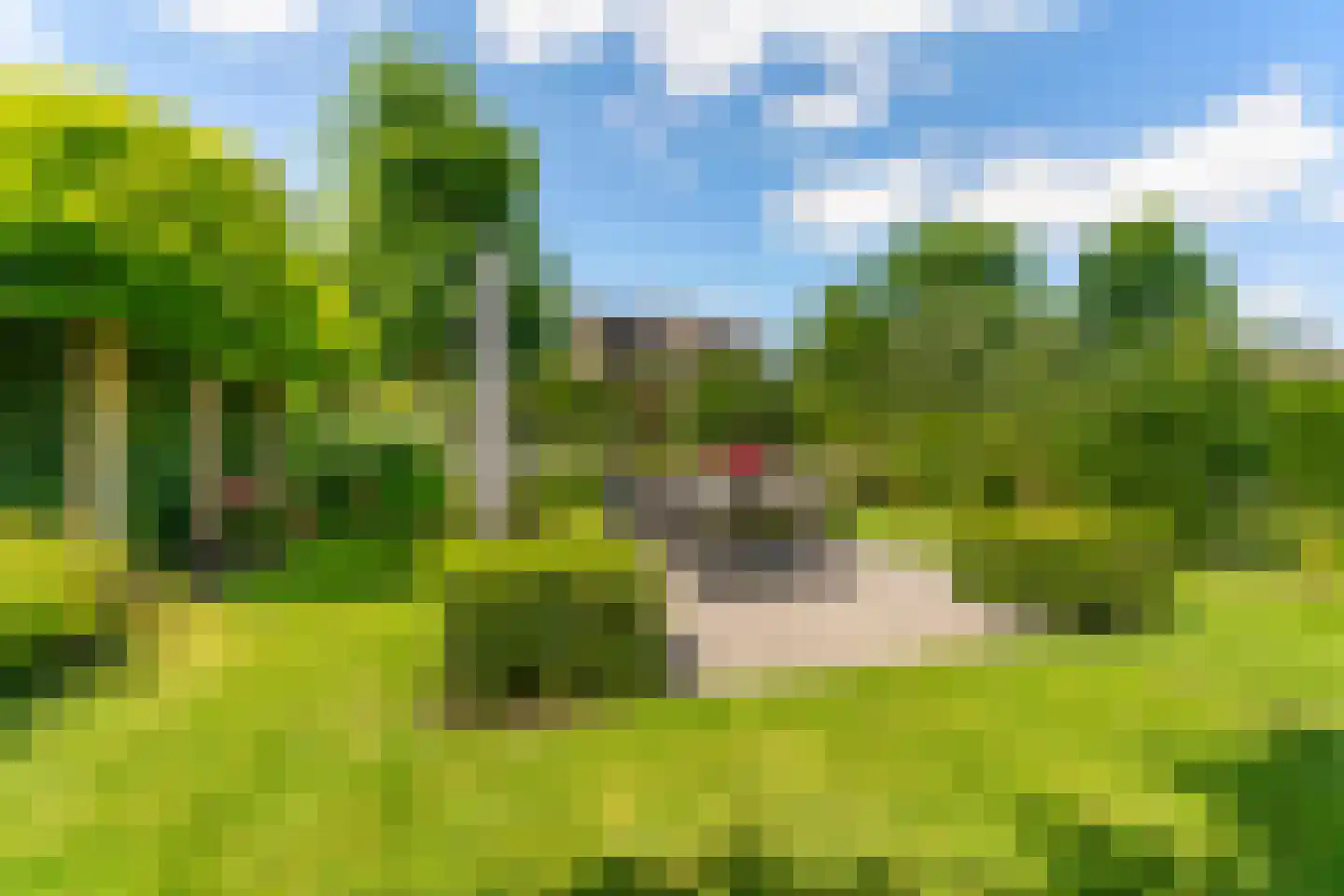 Lieshoutseweg 23 Sint-Oedenrode thumbnail 50