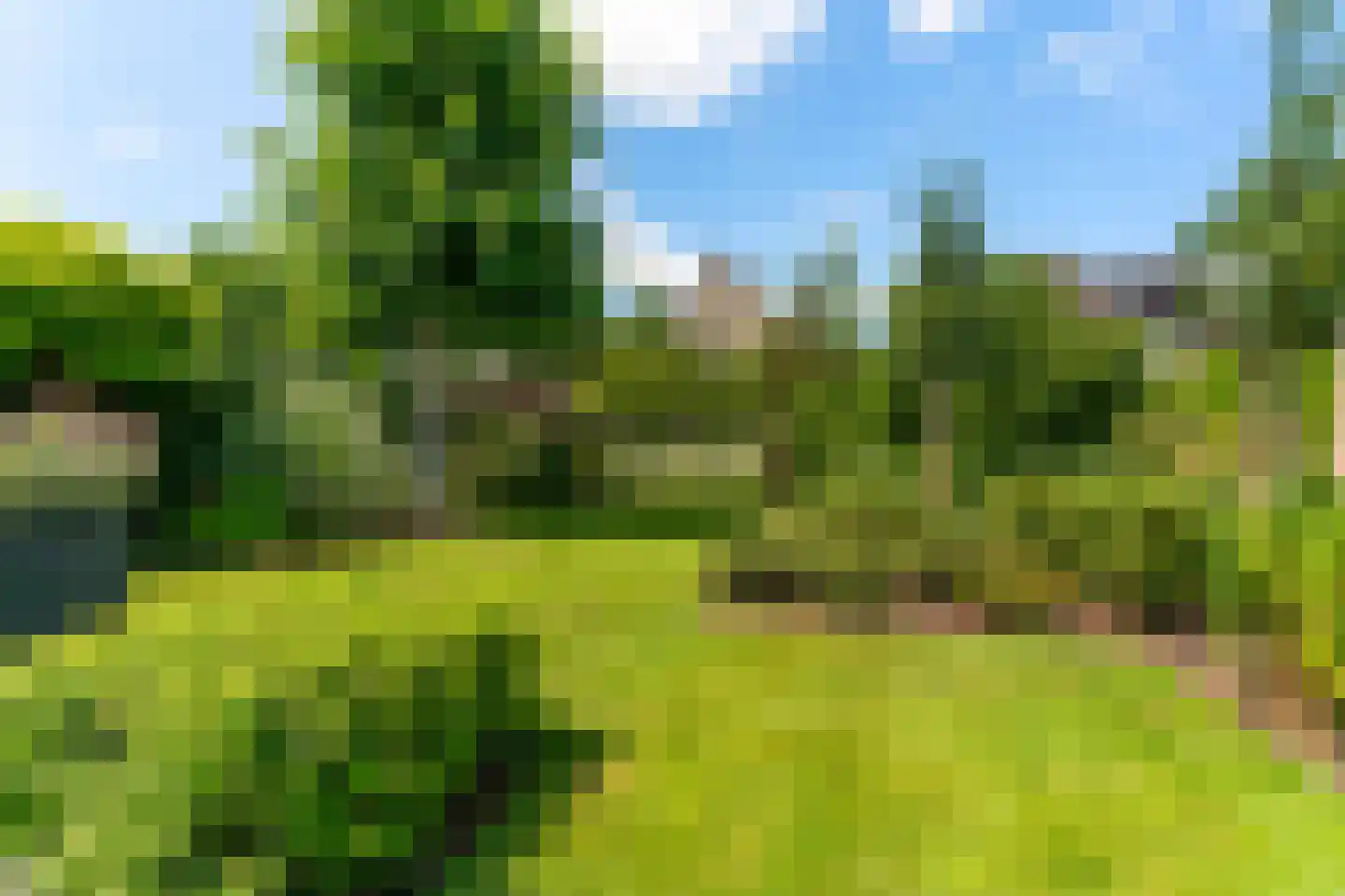 Lieshoutseweg 23 Sint-Oedenrode thumbnail 51
