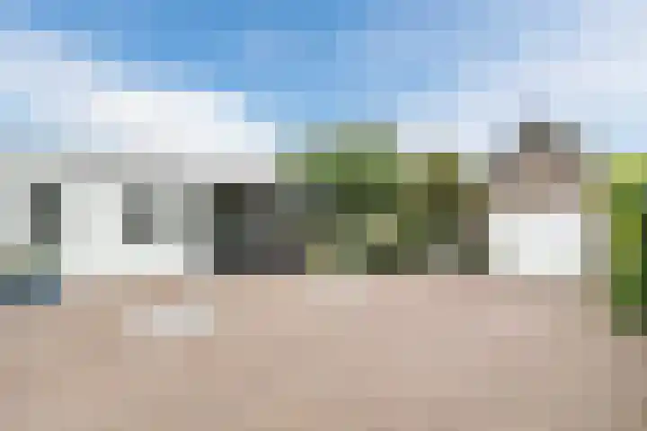 Lieshoutseweg 27 Sint-Oedenrode thumbnail 42