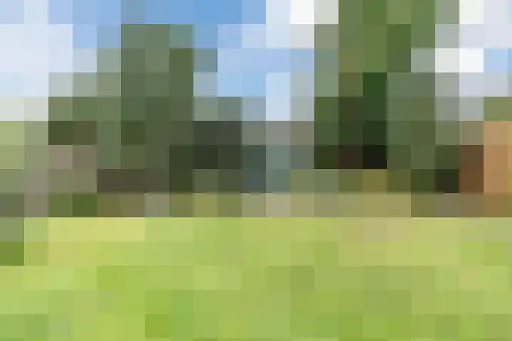 Lieshoutseweg 27 Sint-Oedenrode thumbnail 50