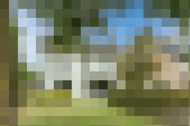 Lieshoutseweg 27 Sint-Oedenrode thumbnail 54