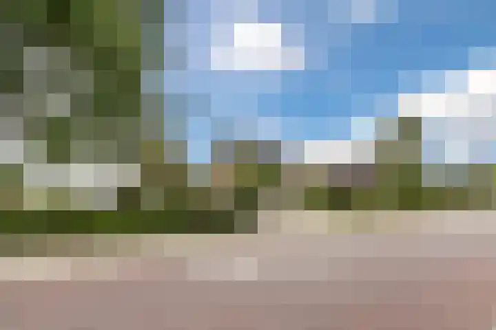 Lieshoutseweg 27 Sint-Oedenrode thumbnail 55