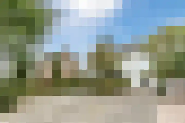Lieshoutseweg 27 Sint-Oedenrode thumbnail 57
