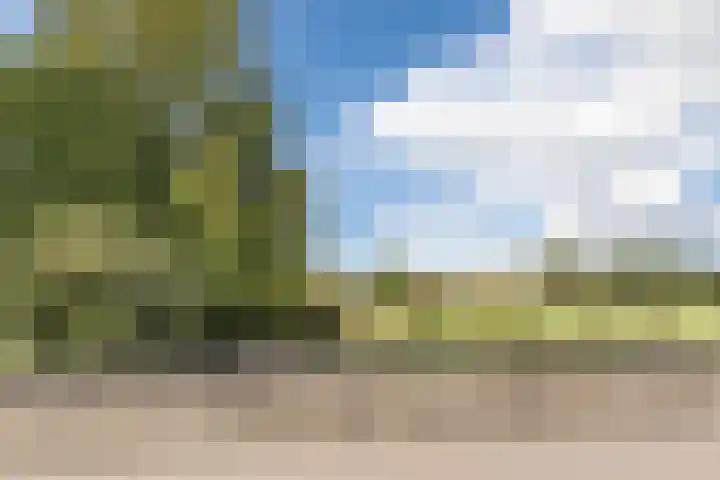 Lieshoutseweg 27 Sint-Oedenrode thumbnail 58