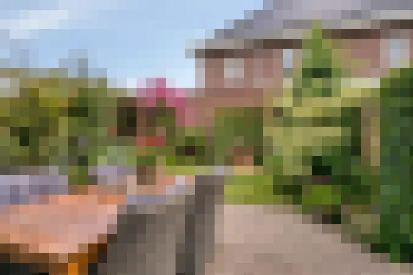 Lieshoutseweg 29 c Sint-Oedenrode thumbnail 47