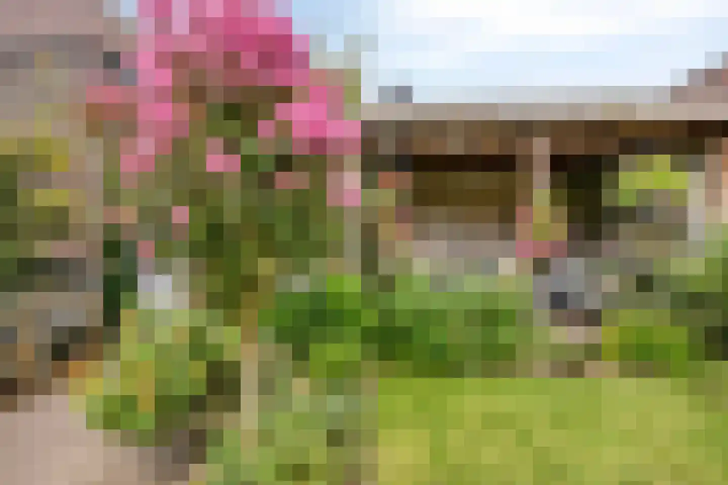 Lieshoutseweg 29 c Sint-Oedenrode thumbnail 49