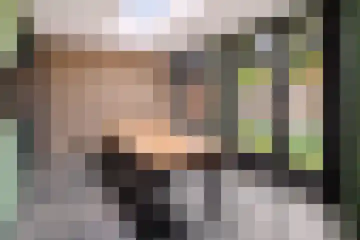 Lieshoutseweg 37 Aarle-Rixtel thumbnail 21