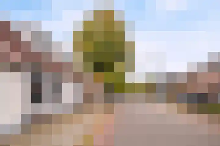 Lieshoutseweg 37 Aarle-Rixtel thumbnail 4