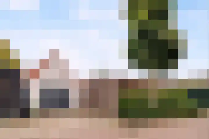 Lieshoutseweg 37 Aarle-Rixtel thumbnail 6