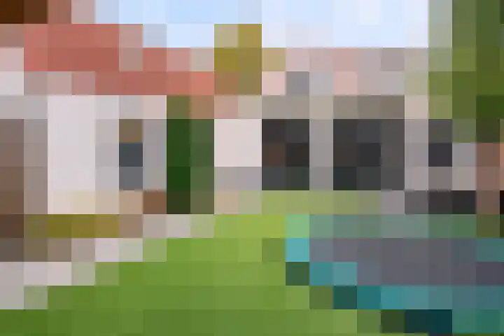 Lieshoutseweg 37 Aarle-Rixtel thumbnail 7